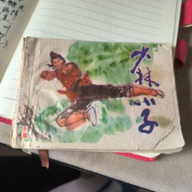 少林小子