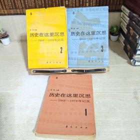 历史在这里沉思 (1966-1976)（全三卷）