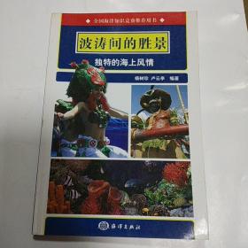 全国海洋知识竞赛推荐用书：波涛间的胜景独特的海上风情