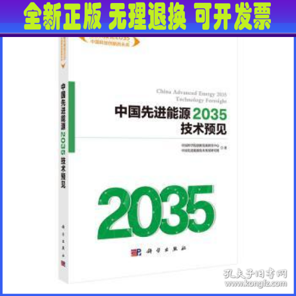 中国先进能源2035技术预见