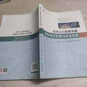 金沙江白格堰塞湖 风险统合管理与应急处理 一版一印