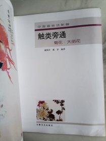 触类旁通 菊花 大丽花