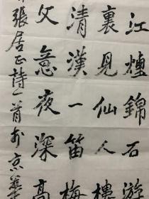 潘新华，号隐石，1960年5月出生，山西定襄人。现为中国书法家协会会员，中国硬笔书协会员，中国楹联学会会员，书法艺术委员会委员，山西省书法家协会理事，师从著名书法家陈巨锁先生，曾多次参加国家、省、市级举办的书法大展并获奖。