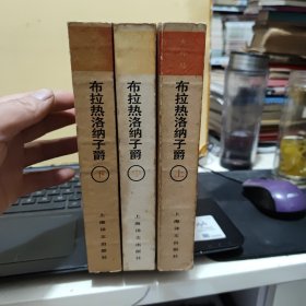 布拉热洛纳子爵；上中下册（3册一套合售）馆藏图书，盖有馆藏印章，几乎未翻阅过，无笔记，中下册有人物表书签，三册为一版一印，详细参照书影