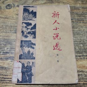 新人小说选 一