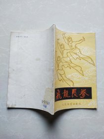 飞龙长拳