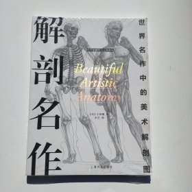 西方绘画技法经典教程：解剖名作世界名作中的美术解剖图