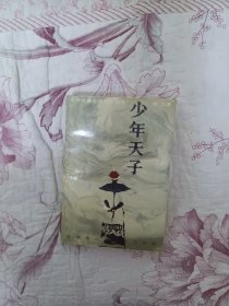 少年天子 北京十月文艺出版社