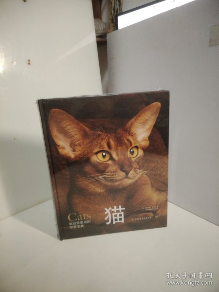 猫（未开封）