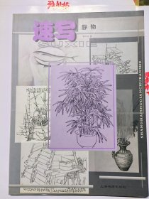速写静物