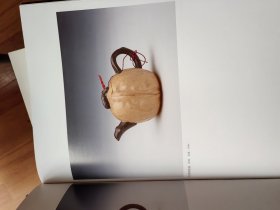 紫砂世界 筋绞乐章