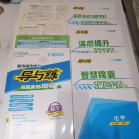 初中同步学习导与练核心素养提升 化学九年级全一册RJ 人教版（广东专版）【含配套如图】