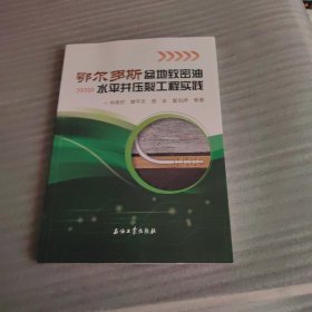 鄂尔多斯盆地致密油水平井压裂工程实践