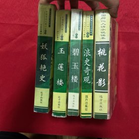 中国历代人情小说读本：玉莲楼、浪史奇观  ，碧玉楼    桃花影    狐妖艳史（五册合售）