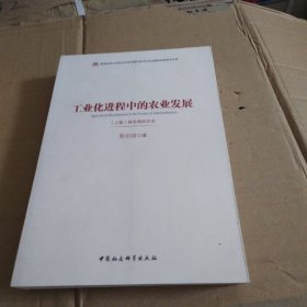 工业化进程中的农业发展（套装上册）