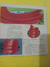 长城牌玫瑰肠  天津市肉类联合加工厂 迎宾牌火腿肠 长城牌桂花香肠 长城牌午餐肠 长城牌火腿肠  广告纸 广告页