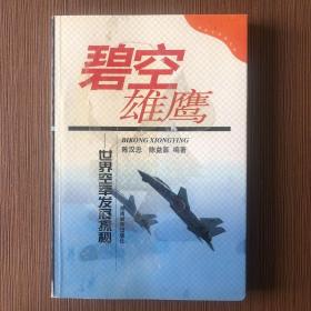 碧空雄鹰-世界空军发展探秘