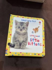 Baby's Very First Little Book of Kittens (Padded Hardback).