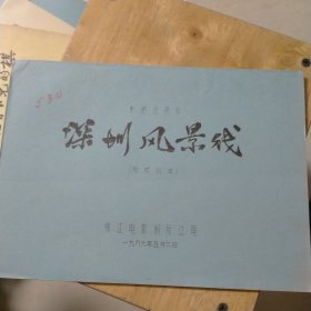 深圳风景线电影台本