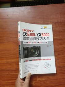 SONY α6300/α6000微单摄影技巧大全（一版一印）