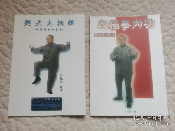 太极拳内功+吴式太极拳走点线走贯串+1DVD