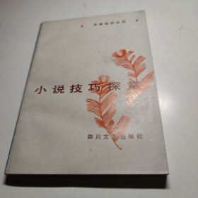 小说技巧探赏