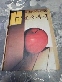 辽宁青年1993.13