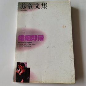 苏童文集一婚姻即景