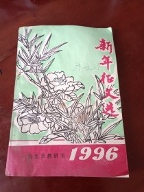 寿光县新年征文选（1996年）