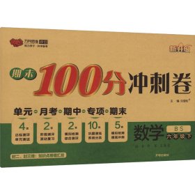 期末100分冲刺卷 数学 6年级下 BS