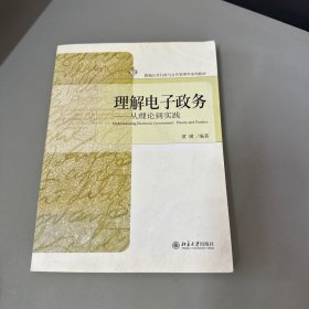 理解电子政务：从理论到实践