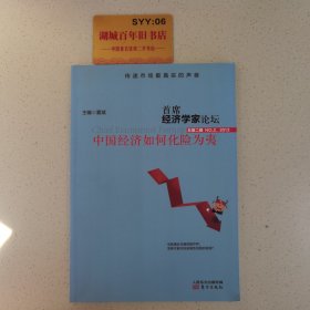 首席经济学家论坛：中国经济如何化险为夷