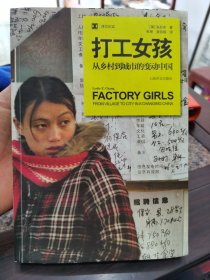 打工女孩：从乡村到城市的变动中国