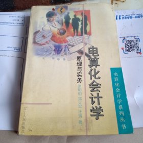 电算化会计学:原理与实务