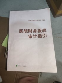 医院财务报表审计指引