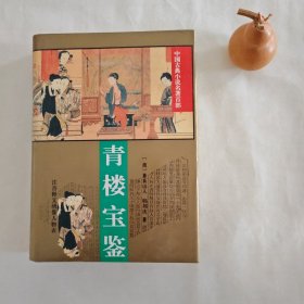 青楼宝鉴（中国古典小说名著百部）