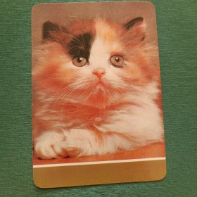 1987年年历卡