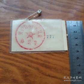 《赴京瞻仰毛主席遗容代表 安徽》1977年10月