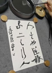 崔寒柏书法，行书（人生如逆旅，我亦是行人）