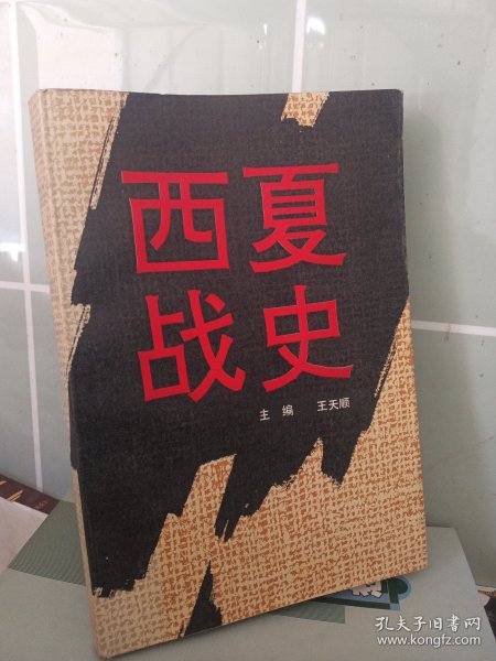 西夏战史