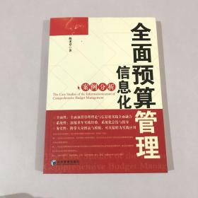 全面预算管理信息化案例分析