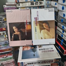 （蓝1377）全新未拆封 鲛岛有美子 日本抒情歌集 1套两盘 日版，日本磁带，R版磁带，喜欢的直接拍就行，退货运费自理！演歌 录音带