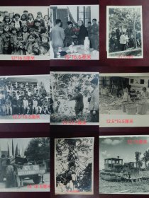 大跃进时期王震等领导考察海南农场【共15张合售】