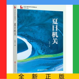 夏日机关(中国专业作家作品典藏文库·石钟山卷)