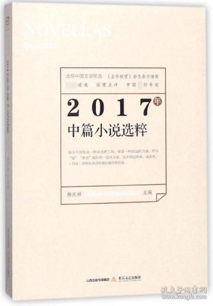 2017年中篇小说选粹