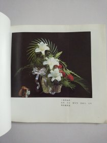 知识画库 实用园艺系列:花篮、插花【两册合售】