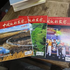 《中国纪检监察》杂志 2023年第15、16、20期 3本合售