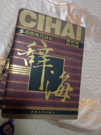 多功能现代汉语 辞海