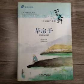 草房子-曹文轩小说阅读与鉴赏