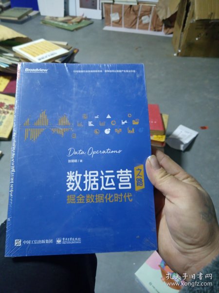 数据运营之路：掘金数据化时代